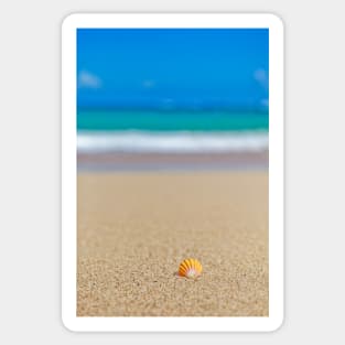 Sunrise Shell at the Beach Sticker